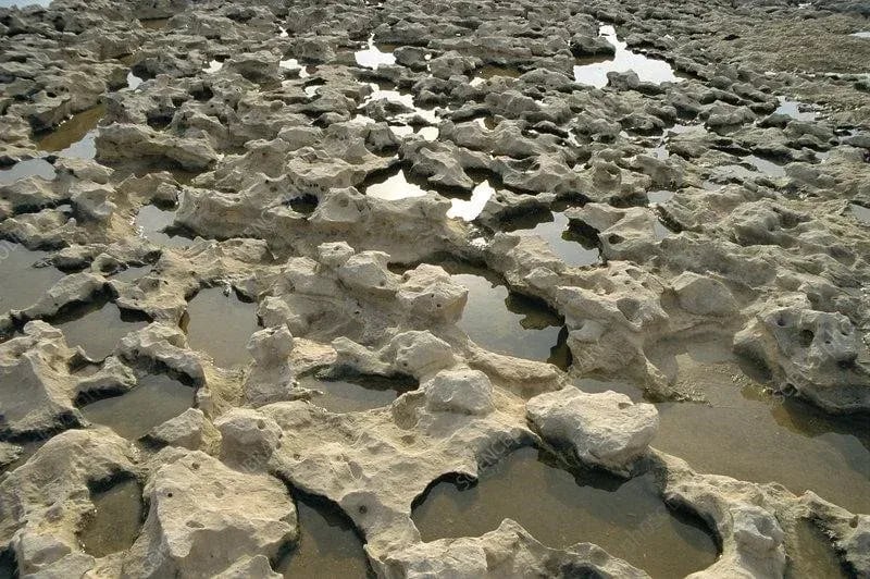 Aged and Weathered Stone, Weathered limestone rock formations with natural tidal pools along a rugged coastal shoreline.