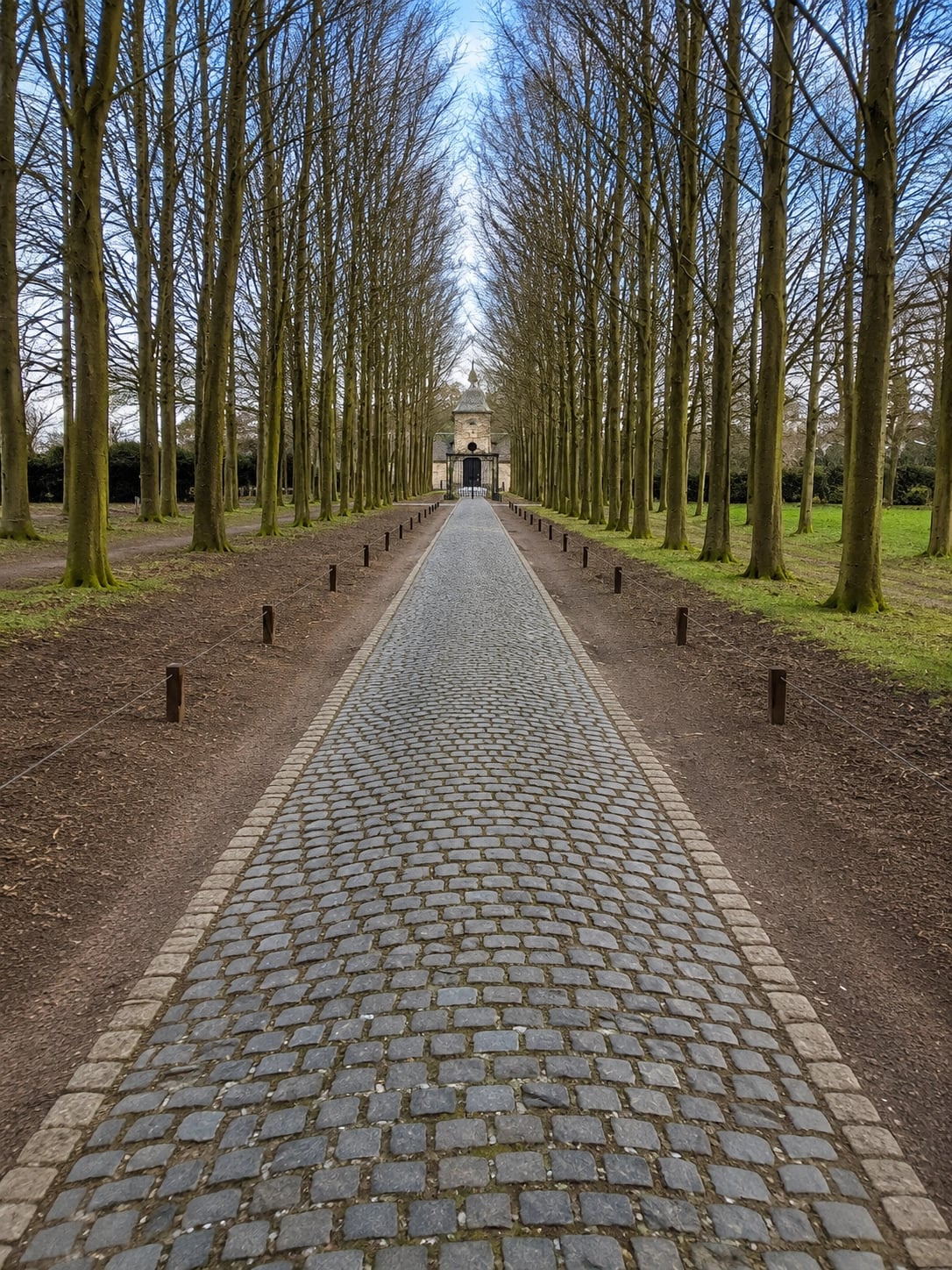 Cobblestone Street in Europe