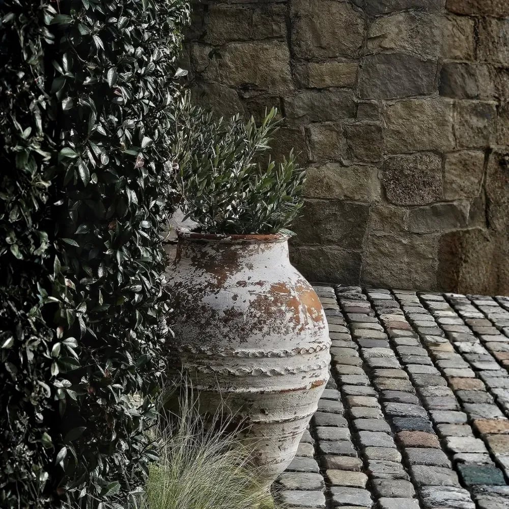Pots & Planters category