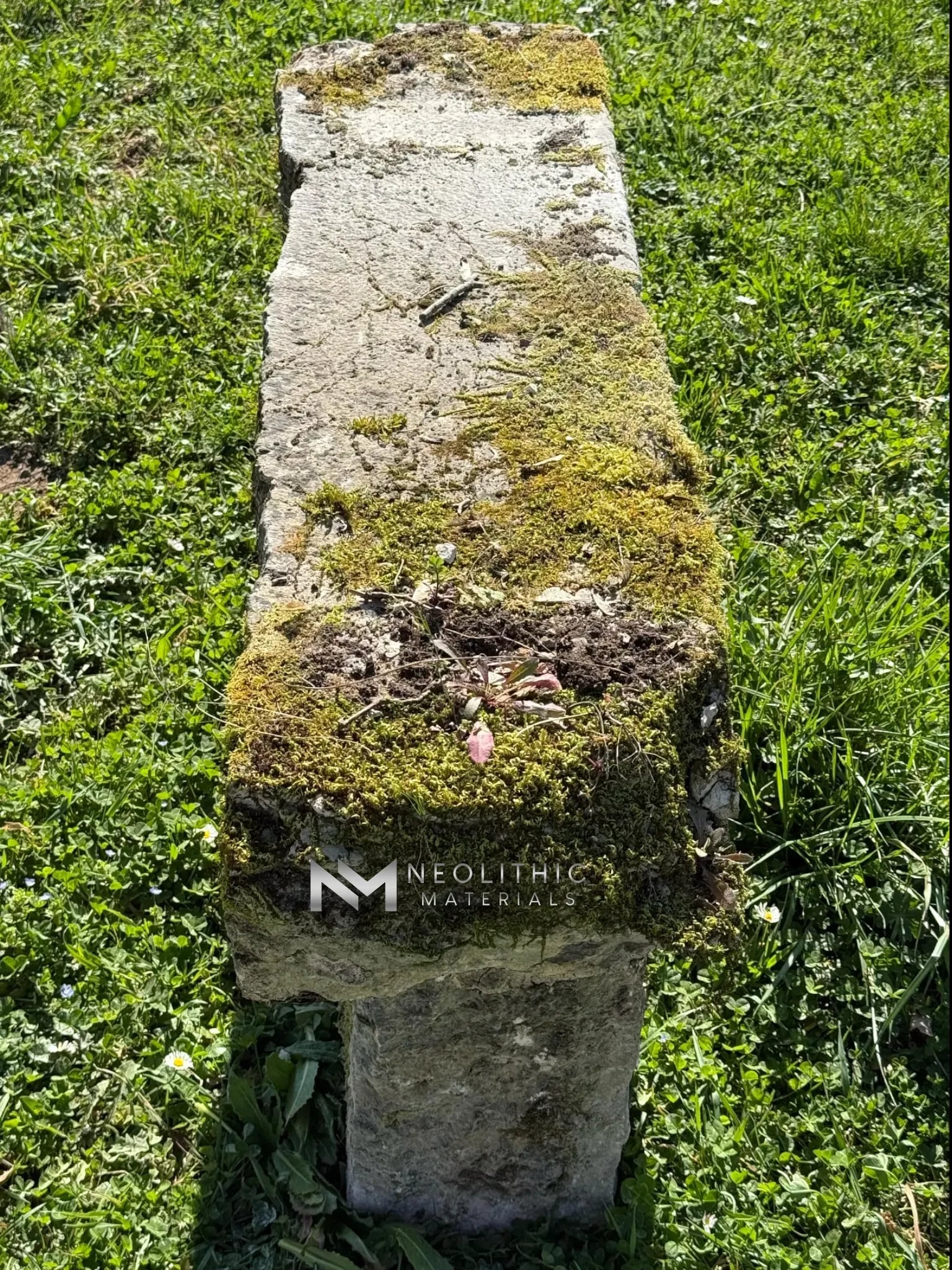 French Antique 19th Century Limestone Bench - Image 3