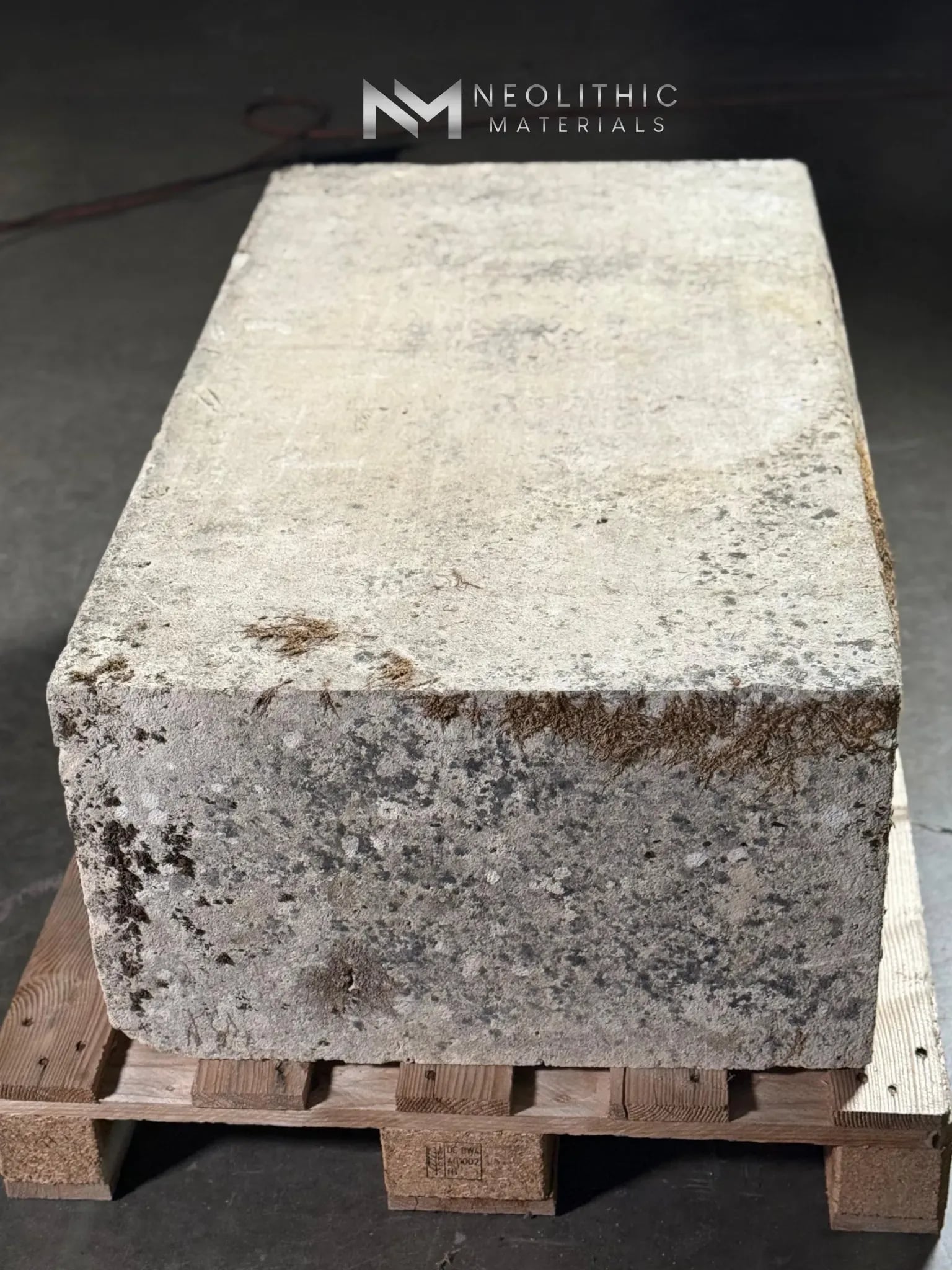 French Antique Foundation Slab - Image 6