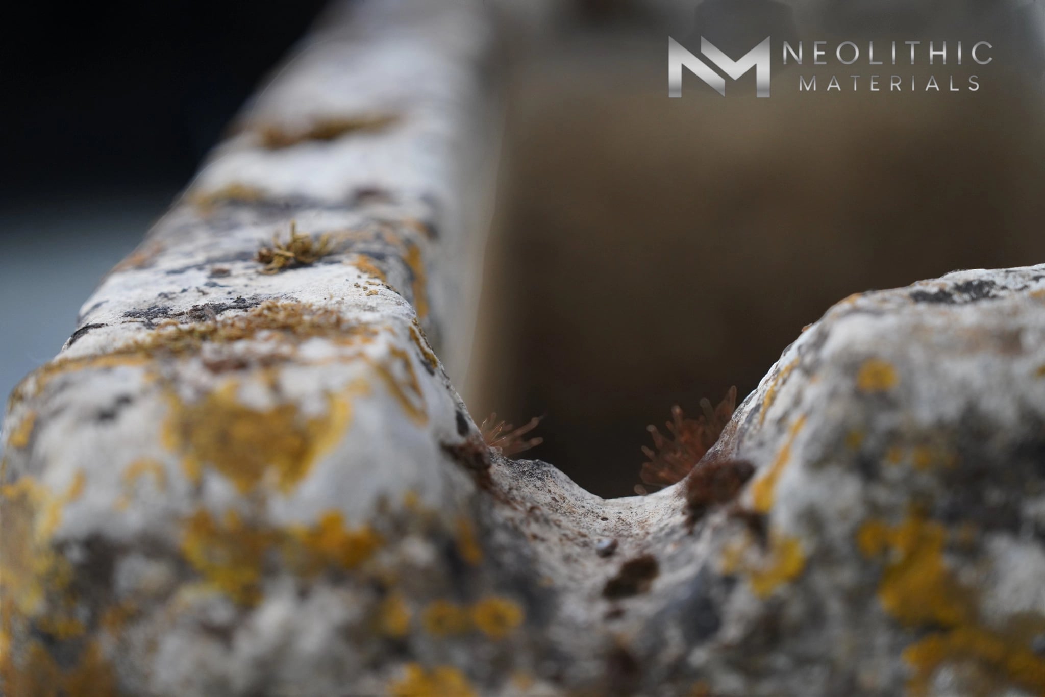 French Antique Limestone Trough - Image 7