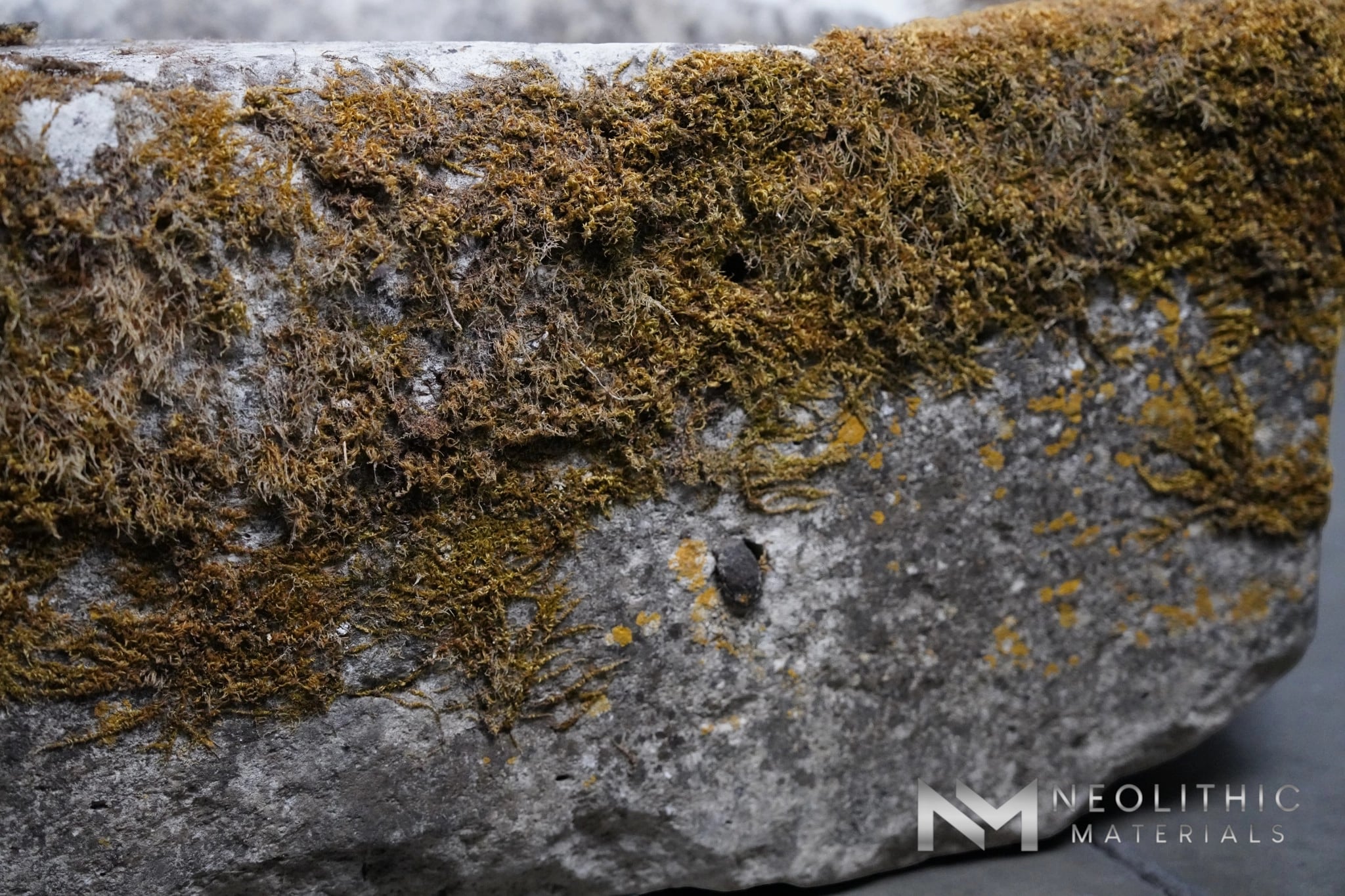 French Antique 19th Century Stone Well - Image 9