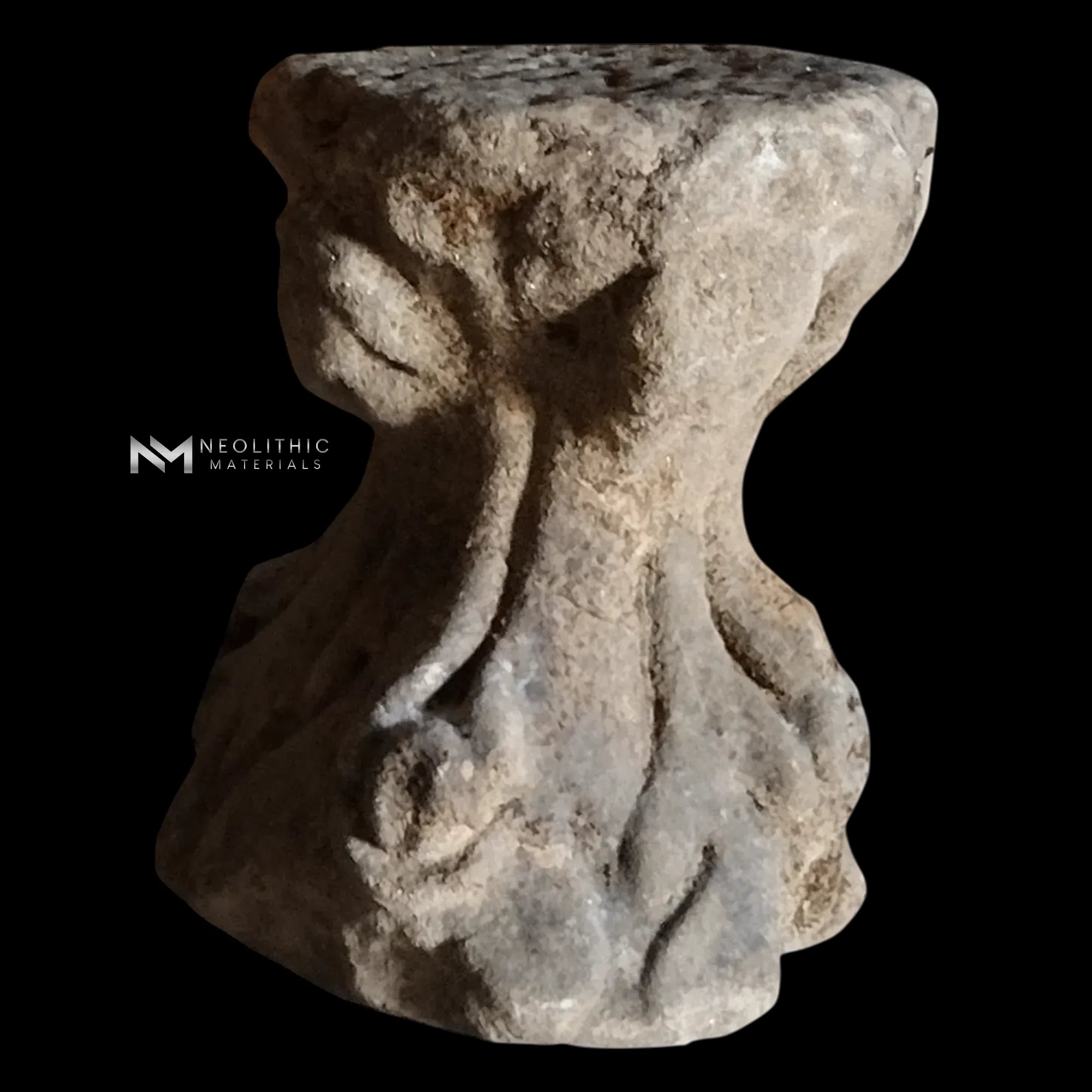MS1102-IB101