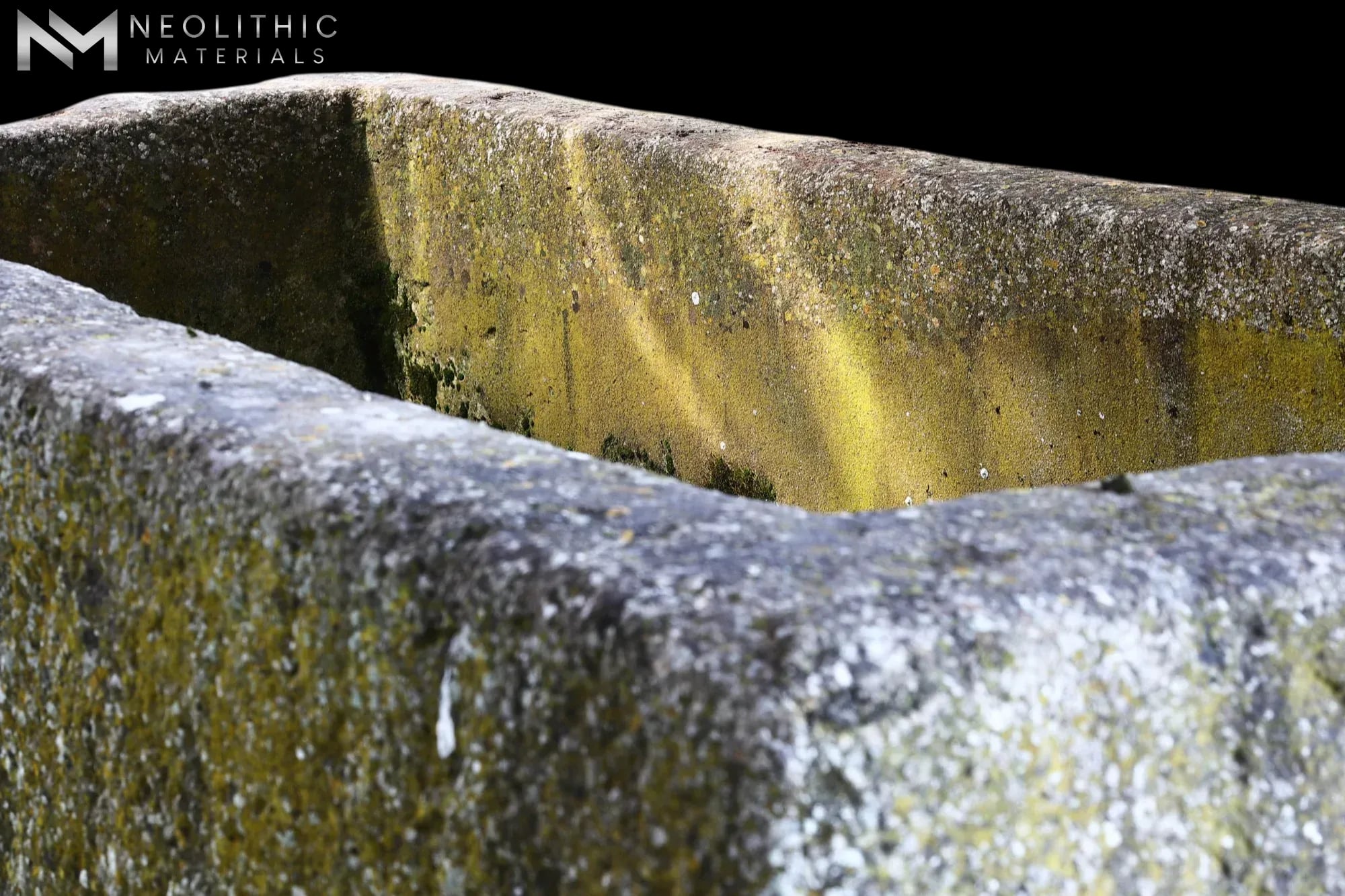  - Image 6