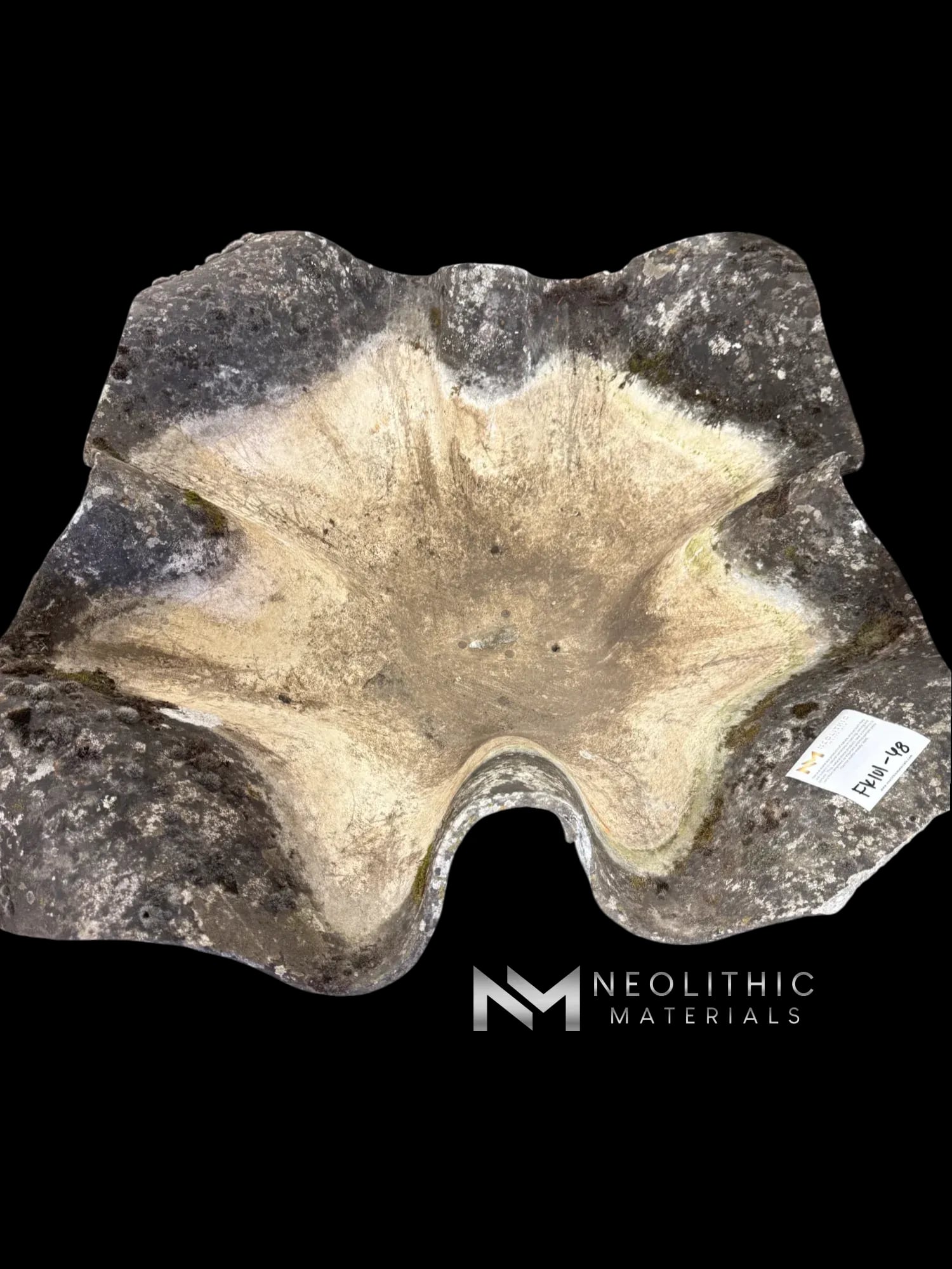 Willy Guhl Elephant Ear Planter - Image 1