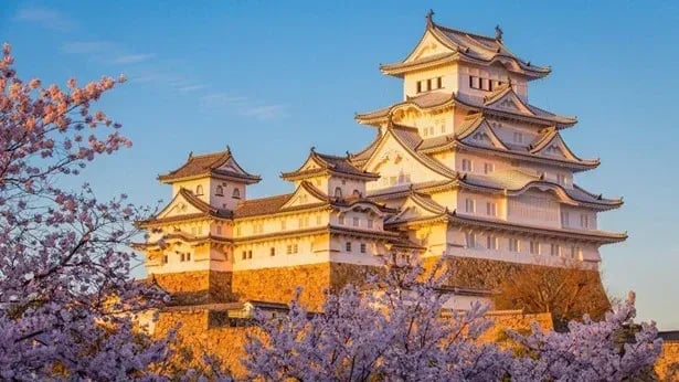 Himeji Castle featuring white plaster walls and massive stone foundations during cherry blossom season
